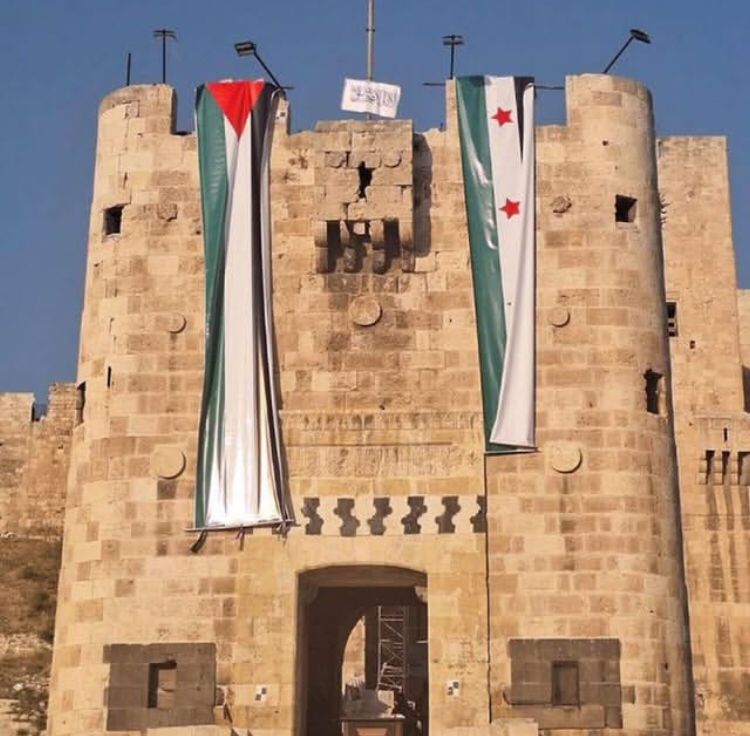 Mujahidin Suriah mengibarkan bendera revolusi Suriah dan bendera Palestina di Benteng Aleppo yang menjadi ikon Kota Aleppo, Suriah. Foto: IG Ihsanul Faruqi.
