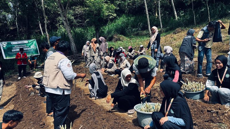 Kegiatan program Lahan Hijauan Pakan Ternak  di Desa Pattiro Deceng, Kecamatan Camba, Kabupaten Maros, pada Sabtu (9/8/2025).